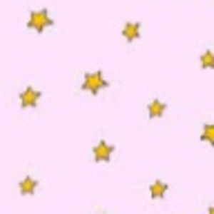 Meet your Posher, Camille